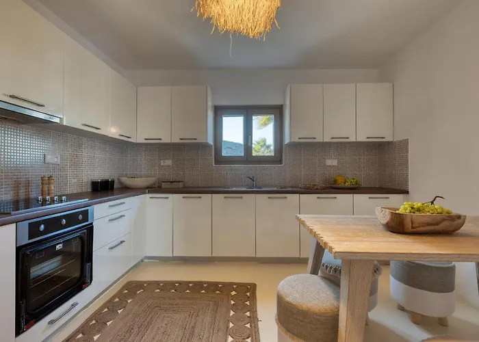 Vila Amalgam Homes Paros *