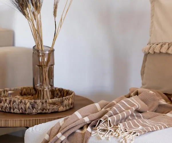 Vila Amalgam Homes Paros