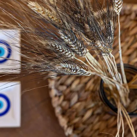 Amalgam Homes Paros * Ambelas